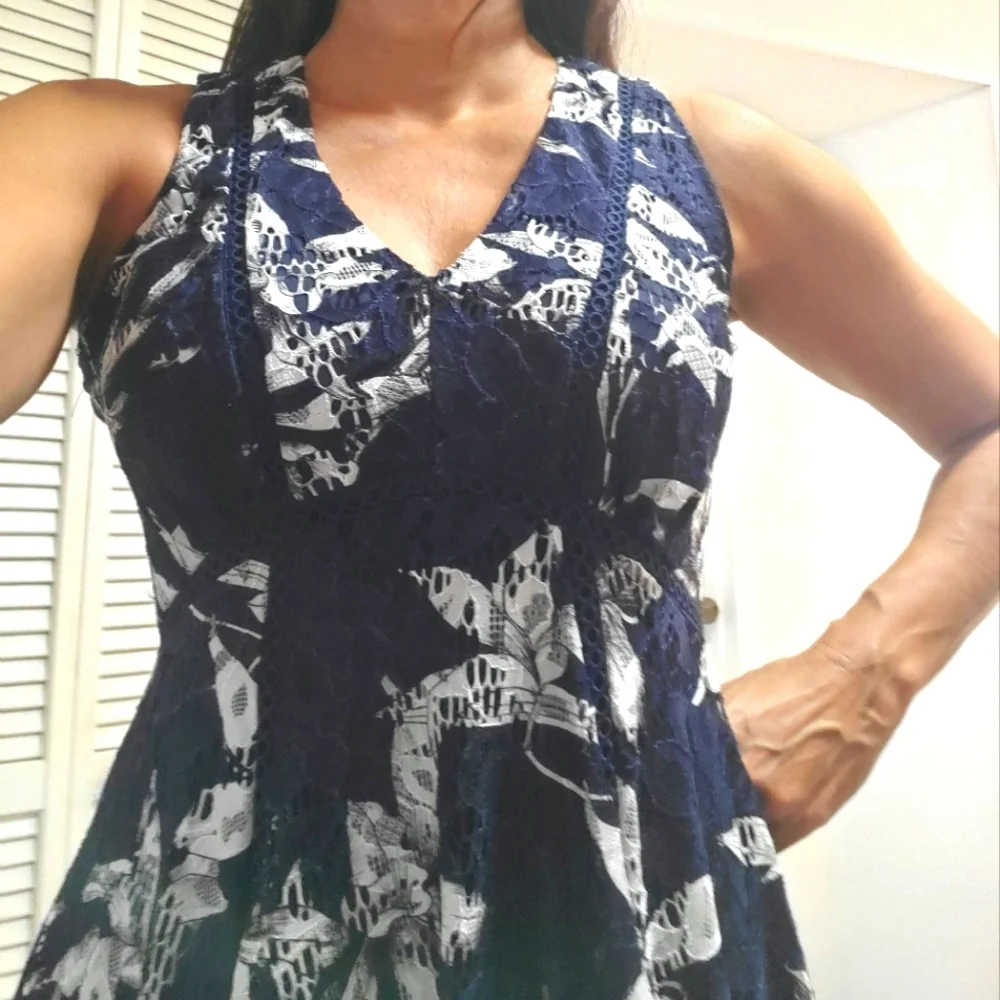 Taylor Sleeveless Lace A-Line Dress